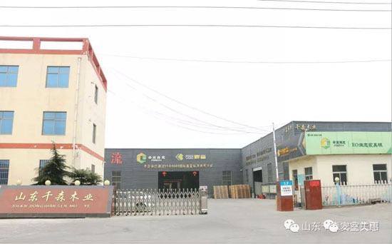 安室美惠板材，等待你發(fā)現(xiàn)的美