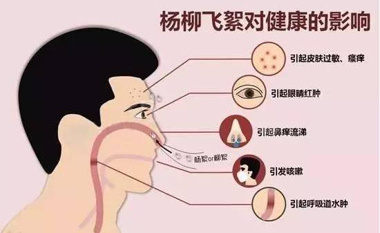 柳絮過(guò)敏讓你鼻子發(fā)癢，空氣堡新風(fēng)系統(tǒng)讓你舒爽