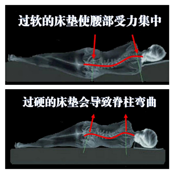康麗萊:優(yōu)質的睡眠從找到適合自己的床墊開始